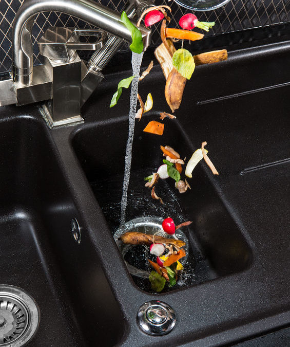 Think You Need a New Garbage Disposal Installed? 